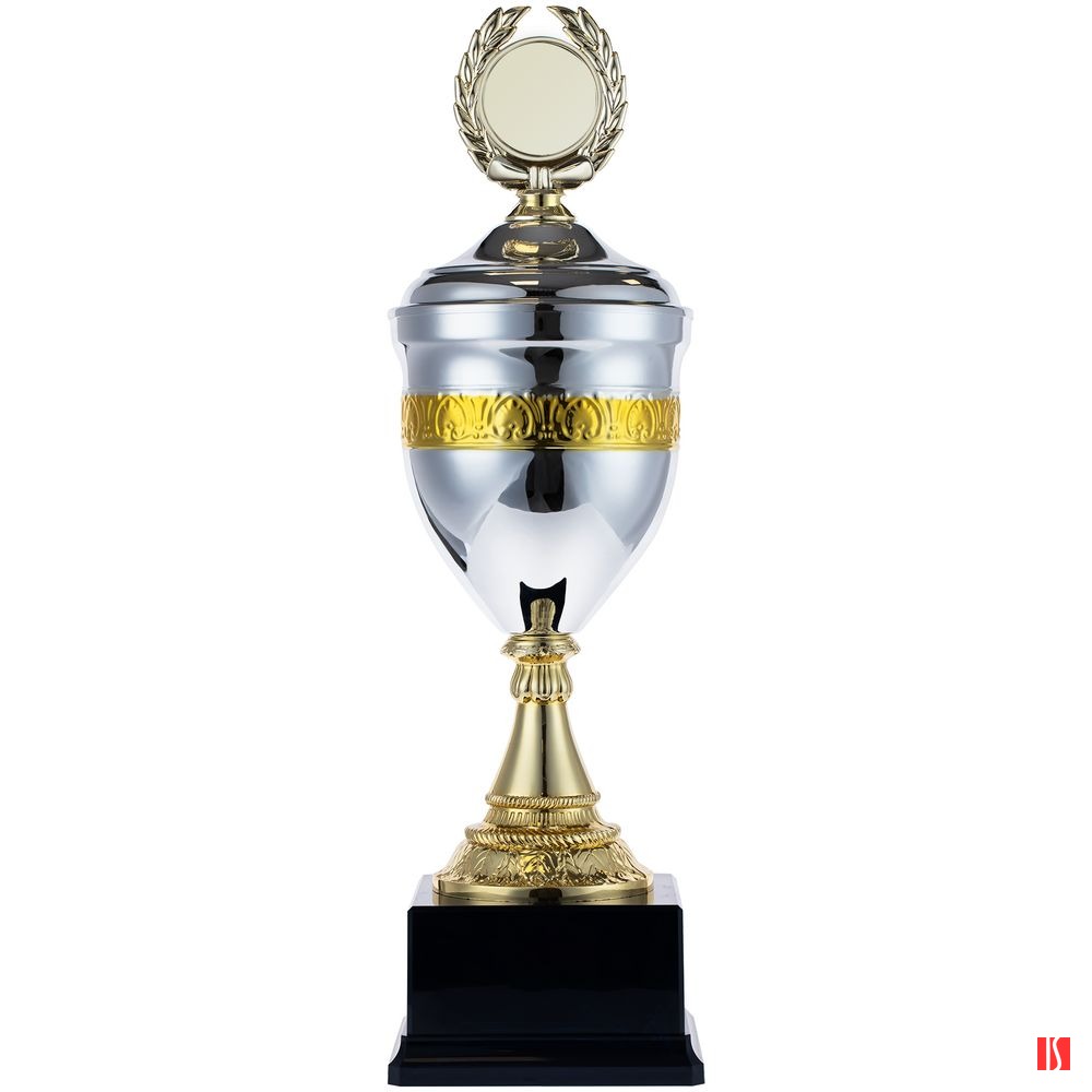 Кубок EnterPrize, серебристый