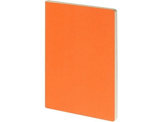 Бизнес-тетрадь А4 "Pragmatic",  40л., клетка, оранжевый
